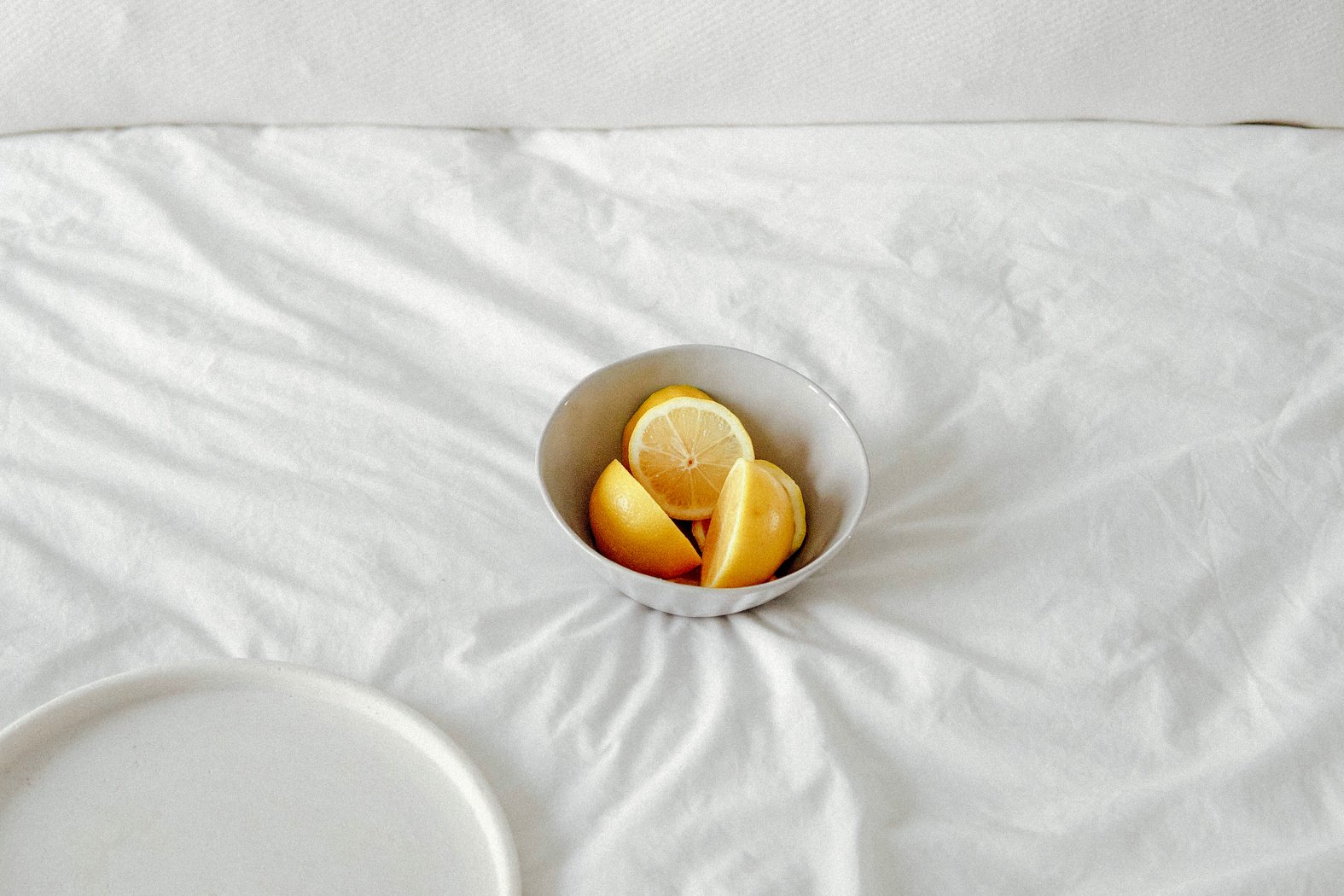 Slices of Lemons in a Bowl